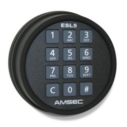 American Security Lock Options